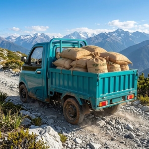 Camionnette électrique Shandong 4x4, mini véhicule à quatre roues, 45 km/h, pour l'exportation vers les marchés européens et américains - Product Image 1