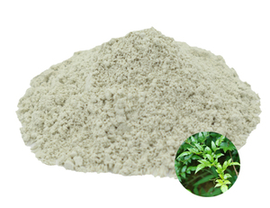 Estratto di Tè da Vite Ampelopsis Grossedentata all'Ingrosso a Prezzo Conveniente, Polvere di Dihidromiricetina <span class=keywords><strong>DHM</strong></span> 98% - Product Image 2