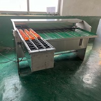 Volledig geautomatiseerde bediening verse eieren sorteermachine aanpasbare eierenweegschaal betrouwbare eieren sorteermachine