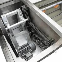 Premium Automatische Groente- en Fruitwasser met Ui- en Gember Schiller, voorzien van een Premium Pomp PLC Systeem en Borstelwassysteem