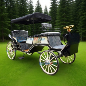 Carruaje Turístico Eléctrico de Doble Fila, Carruaje de Uso Común en Bodas y Hoteles, Carruaje Romántico Estilo Cenicienta, Gran Venta - Product Image 4