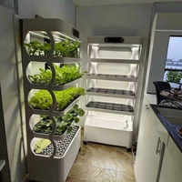 Sistem Hidroponik Vertikal HydroBlue Smart Indoor Planter dengan Pompa Semprot Irigasi, Lampu LED Penumbuh Tanaman, Pot, dan Perlengkapan Rumah, Mudah Dirakit