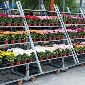 <span class=keywords><strong>Chariot</strong></span> de serre en métal galvanisé à 4 niveaux réglables, pour exposition de fleurs, style hollandais/<span class=keywords><strong>danois</strong></span> - Product Image 1