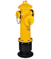 DN150 Hydrant vertical de type russe à double sortie en fonte ductile, de type humide, personnalisable