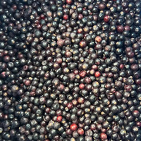 China Leverancier Lqf Berry Tru Fru Bulk Wilde Bevroren Bosbessen Met Water Behoud Prijs Vruchten