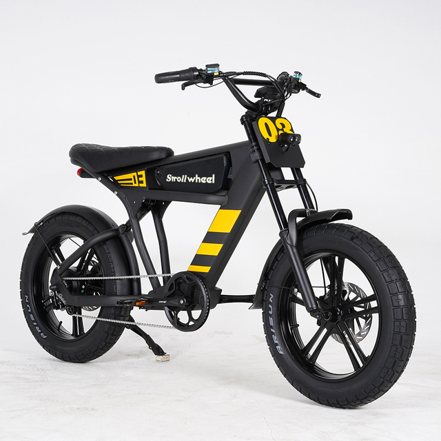 Switzerland Warehouse Ebike Leisure City Pedal Assisted Bikes Bicycle Retro E-bike Fat Tyre Electric City Bike 750W 48V 18.2Ah