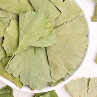Teh Tradisional Cina Baru Harga Terjangkau Herbal Alami Daun Ginkgo Kering Ekstrak Sehat Daun Herbal