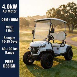 Carrito de Golf Todoterreno Comercial de 2 Plazas, Motor de CA de 60V 4KW, 30-50km/h, 90km de Autonomía, Buggy Turístico para Villas y Resorts de Lujo [Compacto De - Product Image 2