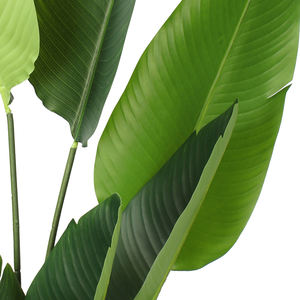 5ft Kunstmatige Paradijsvogel <span class=keywords><strong>Plant</strong></span> Met Plastic Pot Indoor Outdoor Decor Cadeau - Product Image 4