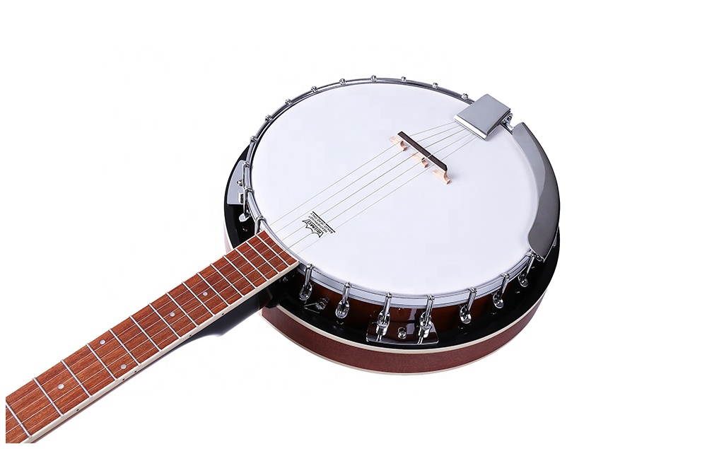 Vantage ５弦 バンジョー REMOクリアヘッド ハードケース付き 虎杢 Amazon.com: 5-String BANJO - REMO Head 38