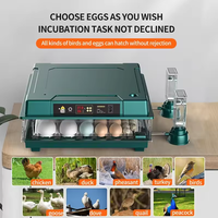 Incubateur à œufs automatique de petite taille entièrement automatique, capacité de 64 œufs, avec un taux d'éclosion élevé pour les poulets
