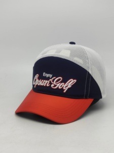 Gorra de Béisbol Curva 3D Personalizada con Marca, 5 Paneles, Perfil Bajo, Cierre a Presión, Deportiva, Unisex, 100% Algodón - Product Image 2