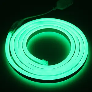 Custom outdoor sign 12v 24v 220v 240v led neon flexible tube letter light smd 2835 120 led flex mini hose rope strip light