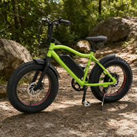 Vélo électrique à pneus larges de 20 pouces 48 V 250 W pour la vente en gros