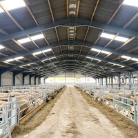 Estructura de acero ligera prefabricada Ganado Cerdo Pollo Caballo Cabra Cobertizo Granja Granero Aves de Corral Diseño de construcción estable