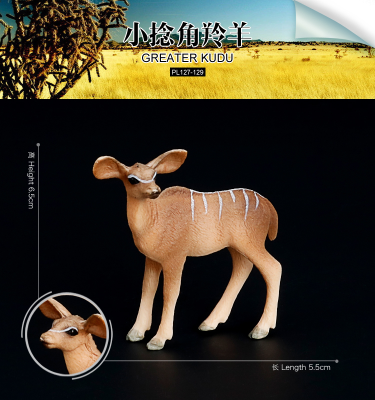 129 Antilope Kudu Piccola