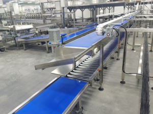 Lwt Food Grade Roestvrij Transportband Draagbare Beweegbare Klem Voor Voedsel Winkels Voor Katoen Industrie - Product Image 2