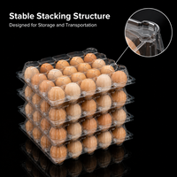 Boîte à œufs empilable en PET transparent de qualité alimentaire, 20 unités, avec design en forme de coquille, pour les fermes avicoles et les supermarchés