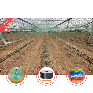 Serre agricole commerciale en film plastique PE multispan, serre gothique tropicale pour la culture des tomates - Product Image 1