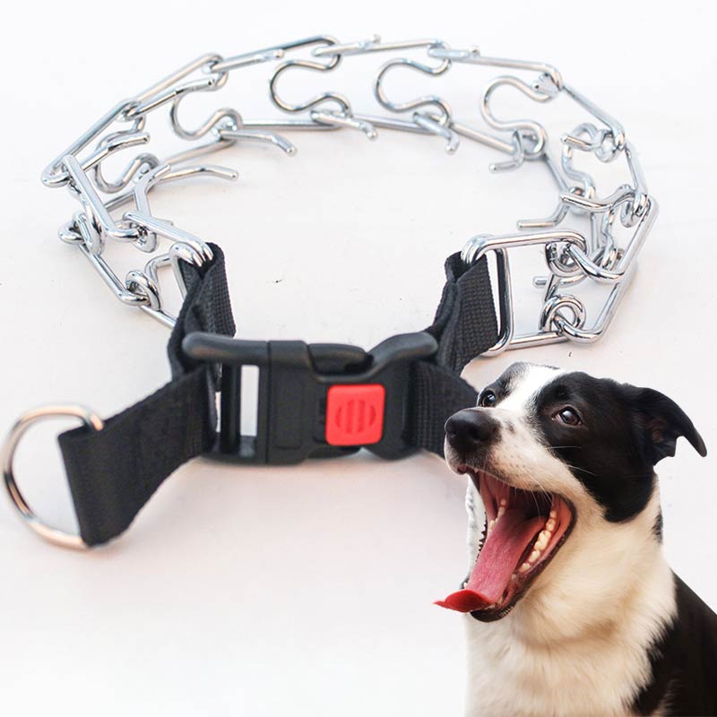 Spike Collar Chain Control Collar For Dogs 【Free Shipping+Local