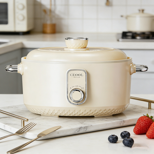 Cocina eléctrica de acero inoxidable para el hogar de 2,5 L, mini olla caliente multifunción, olla arrocera con alta capacidad - Product Image 1