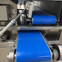 Industriële RVS Commerciële Elektrische Automatische Mango Schilmachine 3T/H 16 Posities PLC Kerncomponenten Hoogwaardig