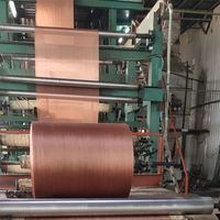 1890D/2 nylon6/66 tissu de cordon de pneu utilisé pour le pneu d'ingénierie