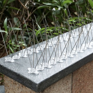 Pointes <span class=keywords><strong>anti</strong></span>-<span class=keywords><strong>pigeon</strong></span> Bandes <span class=keywords><strong>anti</strong></span>-<span class=keywords><strong>pigeon</strong></span> Bandes de pigeons Pointes <span class=keywords><strong>anti</strong></span>-oiseau Mouette - Product Image 6