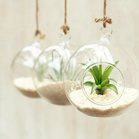 Vase globe rond en verre transparent suspendu, design moderne et créatif, léger, pour plantes et fleurs, décoration pour la maison, le jardin et le bureau, 10 cm