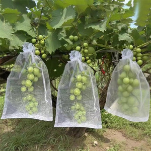ถุงตาข่ายใสป้องกันองุ่นแบบมีเชือกผูก ป้องกันนกและแมลง สำหรับใช้ในสวนผลไม้ - Product Image 3