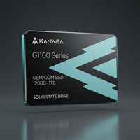 OEM/ODM Mevcut KANAGA G1100 Serisi 128GB-1TB SATA III 6Gbps SSD 2.5" Dahili Sabit Disk Marka Özelleştirmesi için