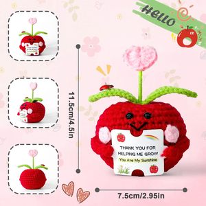 Mini Peluche de Manzana Positiva Tejida a Crochet con Tarjeta, Regalo de Agradecimiento, Cumpleaños, Regalos de Fin de Año para Maestros, Regalos para Estudiantes - Product Image 2