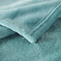 Expédition rapide, couverture en flanelle polaire adaptée à toutes les saisons, couverture en peluche douce avec emballage personnalisé