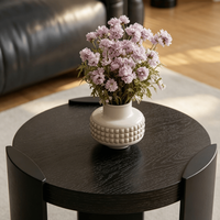Ensemble de tables basses rondes modernes en bois de noyer, design modulable avec rangement pour salon