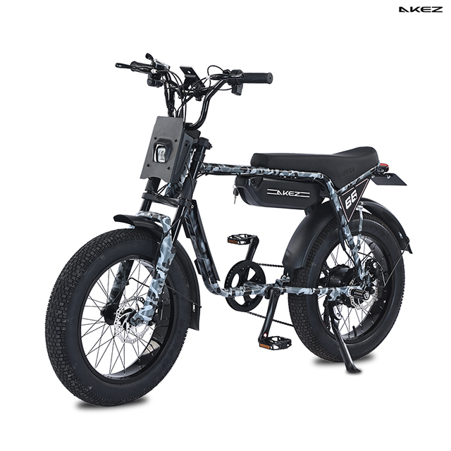 AKEZ Retro Electric Bike OEM ODM 48V 750W Fat Tire Adult E Bike for Brand Projects