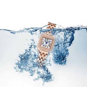 Montre pour femme Rebirth <span class=keywords><strong>2021</strong></span>, cadran carré de forme élégante, aiguilles lumineuses, fonctionnelle, bracelet en acier inoxydable, style romain - Product Image 6