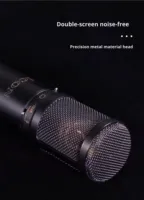 Microphone à condensateur à large diaphragme professionnel ICON LD-1/LD-2, XLR, métal, cardioïde, antibruit, diffusion en direct