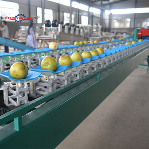Machine de classement automatique de fruits et légumes pour usine de transformation de fruits SUS 304 matériel multifonctionnel prix de vente bon marché - Product Image 1
