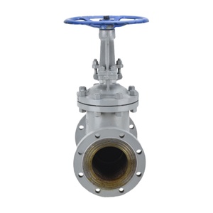 Vanne à opercule manuelle à brides en acier inoxydable 316 DN65 PN16 pour eau et produits chimiques à haute température, modèle Z41W-16M, garantie 1 an, Z41W-16M Monel, toutes options - Product Image 5
