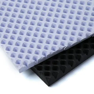 SSD miglior prezzo Eco Friendly traspirante spessore personalizzato tappetino per auto in Eva impermeabile colorato