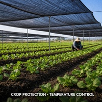 Zwarte HDPE gebreide, heavy-duty, UV-bestendige, anti-verouderings beschadingsnet voor groenteteelt in kas en tuin