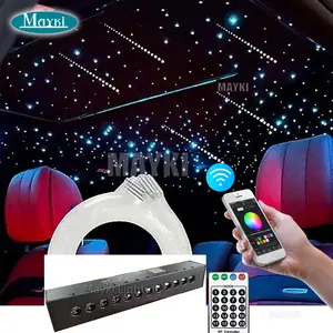 APP 12 Port Fiber Optic Shooting Star Meteor Light Kit RF Remote Control LED Optical Fiber Cables Strands For Car Home Cinema