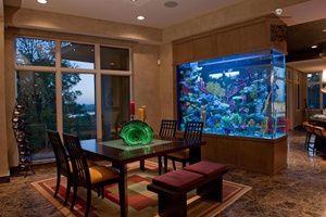 Armoire et support d'aquarium personnalisables avec tuyau de nénuphar, filtre éponge et aquarium pour réservoirs d'eau douce/marine - Product Image 2