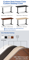 Cadre de bureau debout à double moteur 2AF3 D3 30 vitesses, couleur personnalisée, moderne, hauteur réglable, support de bureau électrique, assemblage facile