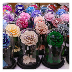 Dôme de <span class=keywords><strong>rose</strong></span> lumineux à LED <span class=keywords><strong>Rose</strong></span> <span class=keywords><strong>La</strong></span> Belle et <span class=keywords><strong>la</strong></span> Bête <span class=keywords><strong>prix</strong></span> raisonnable <span class=keywords><strong>Rose</strong></span> <span class=keywords><strong>éternelle</strong></span> préservée enchantée dans un dôme de verre - Product Image 3