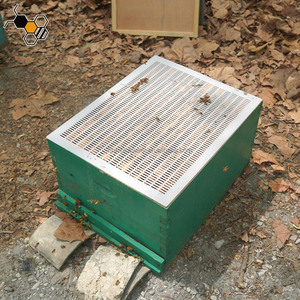 Outils d'apiculture 51X41cm Langstroth 10 Cadre En Plastique <span class=keywords><strong>Abeille</strong></span> <span class=keywords><strong>Reine</strong></span> Excluder à <span class=keywords><strong>Vendre</strong></span> - Product Image 5
