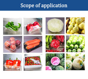 Máquina de Embalar com Filme Plástico Profissional, Operação Fácil, Embaladora Semi-Automática para Selagem de Frutas, Vegetais e Alimentos - Product Image 5