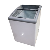 Congélateur de laboratoire à coffre à température unique de 188 L, 2 portes, refroidissement direct, petit réfrigérateur à crème glacée Snowsea