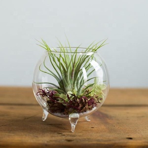 Sfera di vetro trasparente soffiato a mano vaso globo terrario <span class=keywords><strong>con</strong></span> tre <span class=keywords><strong>gambe</strong></span> - Product Image 5