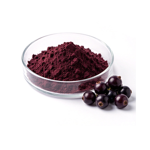 Extracto <span class=keywords><strong>de</strong></span> Grosella Negra en Polvo (<span class=keywords><strong>Ribes</strong></span> Nigrum L.), con 5%-10% <span class=keywords><strong>de</strong></span> Antocianinas, 5%-36% <span class=keywords><strong>de</strong></span> Antocianidinas, 5%-90% <span class=keywords><strong>de</strong></span> Polifenoles, Polvo Fino Rojo Púrpura - Product Image 3